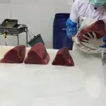Fresh Yellowfin Tuna Sashimi 1